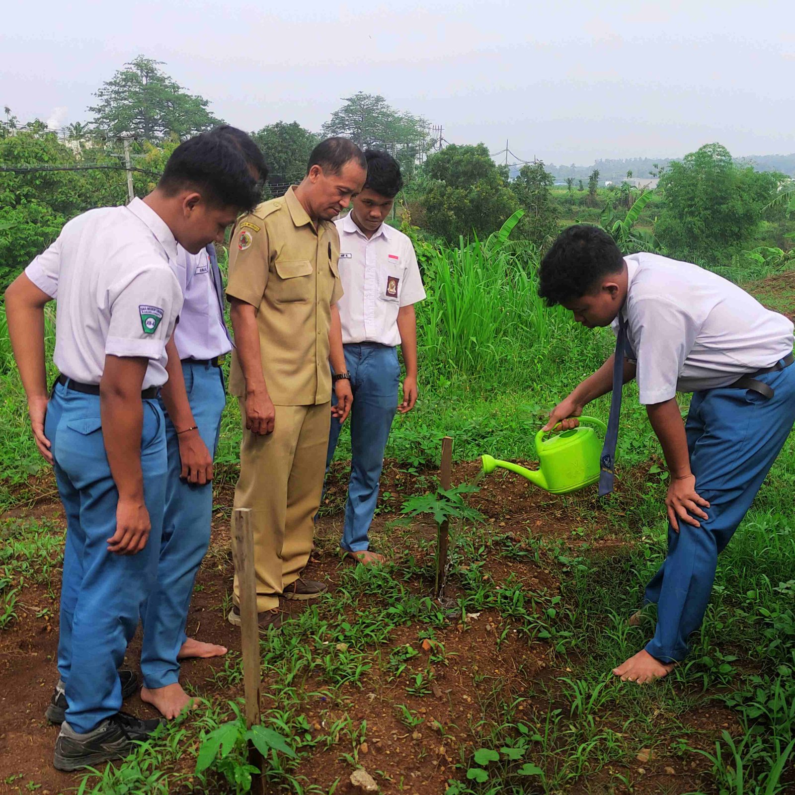 Pembersihan Lingkungan
